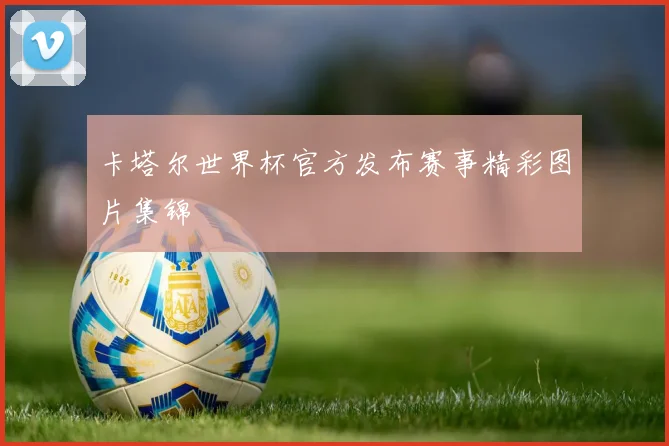 卡塔尔世界杯官方发布赛事精彩图片集锦