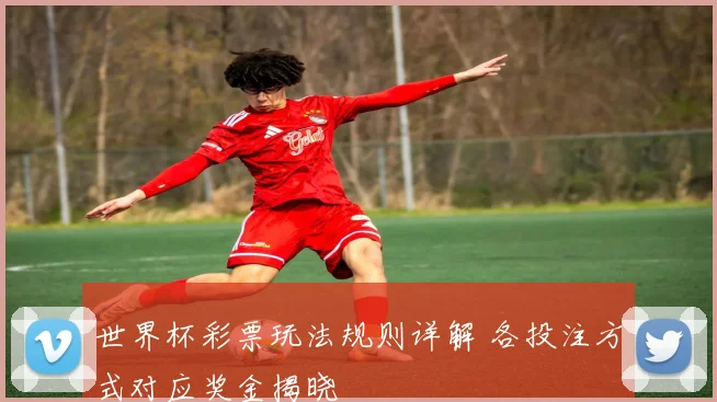 世界杯彩票玩法规则详解 各投注方式对应奖金揭晓