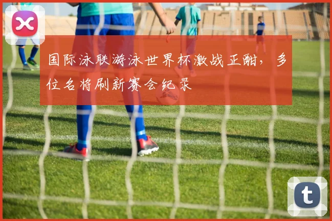 国际泳联游泳世界杯激战正酣，多位名将刷新赛会纪录