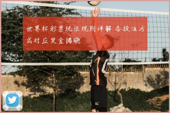 世界杯彩票玩法规则详解 各投注方式对应奖金揭晓
