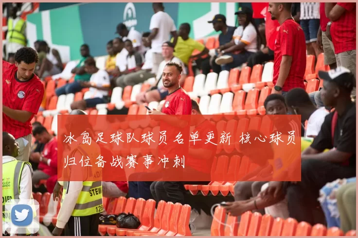 冰岛足球队球员名单更新 核心球员归位备战赛事冲刺