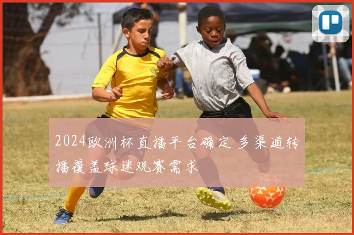 2024欧洲杯直播平台确定 多渠道转播覆盖球迷观赛需求